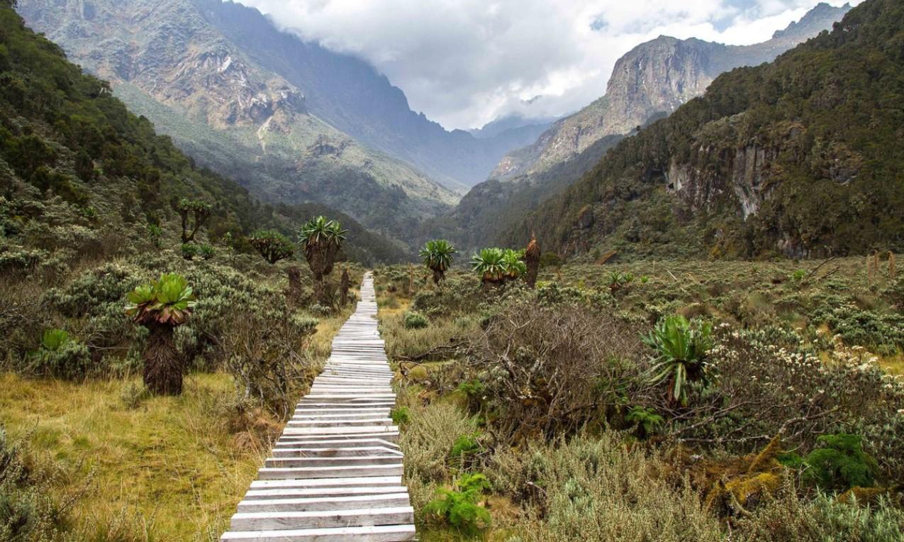 Mountains of the Moon (Rwenzori Mountains National Park)
